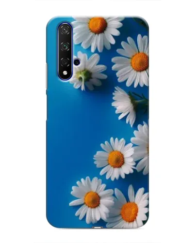 Чохол для Huawei Nova 5T з картинкою «Білосніжні маргаритки»