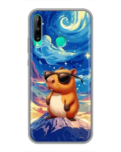 Чехол для Huawei P40 Lite e с картинкой «Капибара Ван Гога» Чехол для Huawei P40 Lite e с картинкой «Капибара Ван Гога»