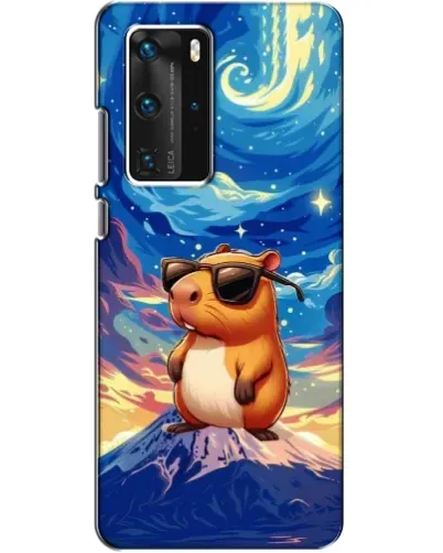 Чехол для Huawei P40 Pro с картинкой «Капибара Ван Гога» Чехол для Huawei P40 Pro с картинкой «Капибара Ван Гога»