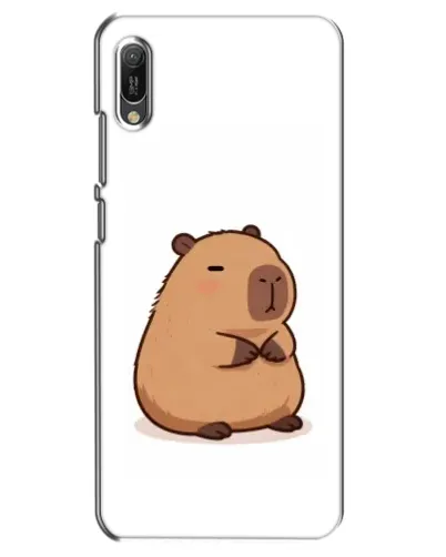 Чехол для Huawei Y6 2019 с картинкой «Толстенькая капибара»