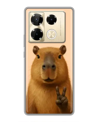 Чехол для Infinix Note 40 Pro с картинкой «Капибара виктория»