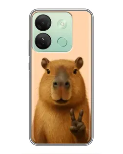 Чехол для Infinix Smart 7 HD с картинкой «Капибара виктория»