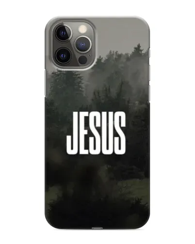 Чохол для iPhone 12 Pro з картинкою «Світло у тумані» Чохол для iPhone 12 Pro з картинкою «Світло у тумані»