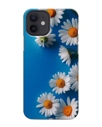 Чохол для iPhone 12 з картинкою «Білосніжні маргаритки»