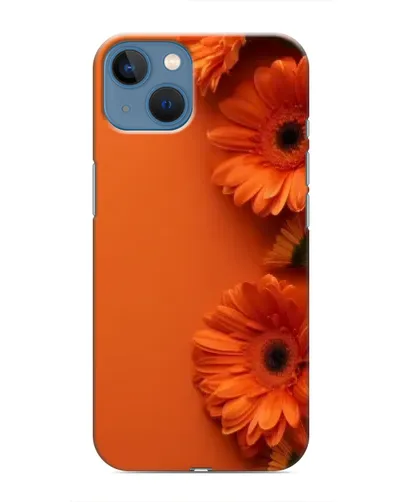Чехол для iPhone 13 Mini с картинкой «Оранжевые герберы»