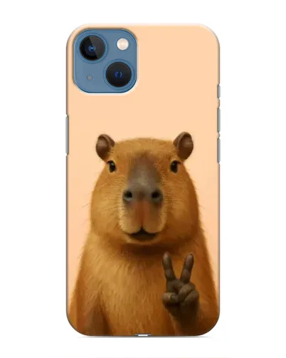 Чехол для iPhone 13 с картинкой «Капибара виктория»