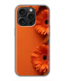 Чехол для iPhone 15 Pro с картинкой «Оранжевые герберы»
