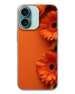 Чехол для iPhone 16 Plus с картинкой «Оранжевые герберы»