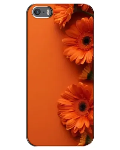 Чехол для iPhone 5 / 5s / SE с картинкой «Оранжевые герберы»