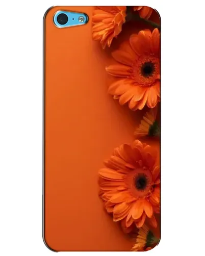 Чехол для iPhone 5c с картинкой «Оранжевые герберы» Чехол для iPhone 5c с картинкой «Оранжевые герберы»