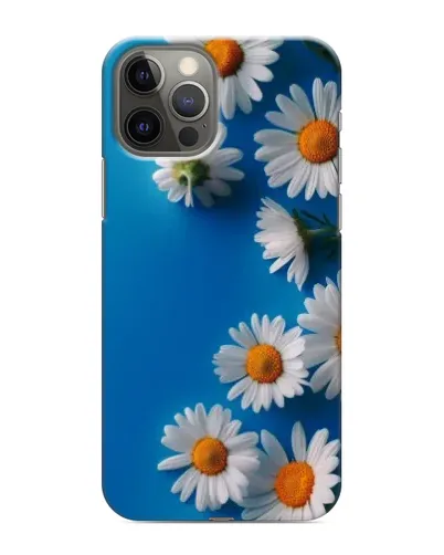 Чехол для iPhone 11 Pro Max с картинкой «Белоснежные маргаритки»