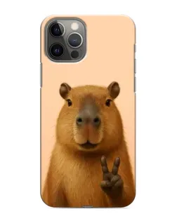 Чехол для iPhone 11 Pro с картинкой «Капибара виктория»