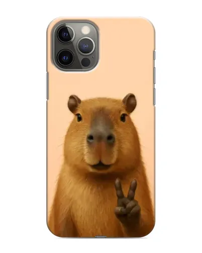 Чехол для iPhone 11 Pro с картинкой «Капибара виктория»