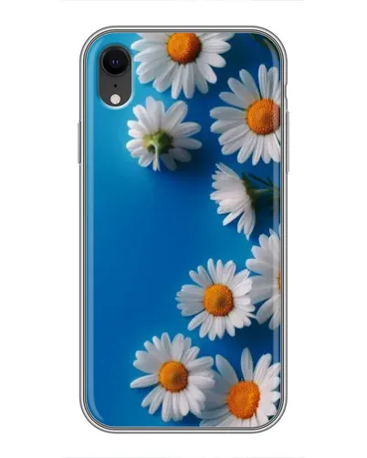 Чохол для iPhone Xr з картинкою «Білосніжні маргаритки»