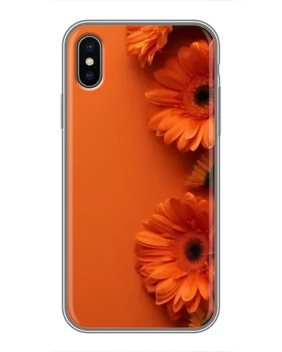 Чехол для iPhone Xs с картинкой «Оранжевые герберы»