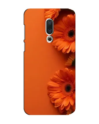 Чохол для Meizu 15 Plus з картинкою «Помаранчеві гербери»