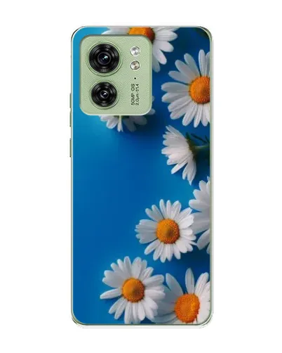 Чохол для Motorola Edge 40 з картинкою «Білосніжні маргаритки» Чохол для Motorola Edge 40 з картинкою «Білосніжні маргаритки»