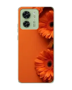 Чохол для Motorola Edge 40 з картинкою «Помаранчеві гербери»