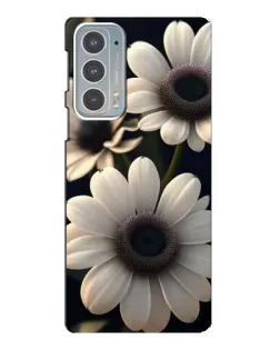 Чехол для Motorola Edge 20 с картинкой «Белые маргаритки макро»