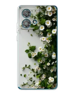 Чехол для Motorola Edge 40 Neo с картинкой «Ветка мелких белых цветов»