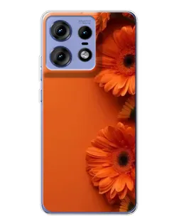 Чехол для Motorola Edge 50 Pro с картинкой «Оранжевые герберы»