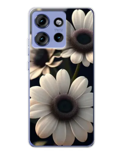 Чохол для Motorola Edge 50 з картинкою «Білі маргаритки макро»