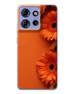 Чохол для Motorola Edge 50 з картинкою «Помаранчеві гербери»