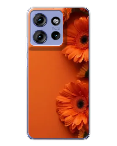 Чохол для Motorola Edge 50 з картинкою «Помаранчеві гербери»