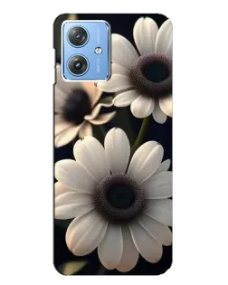 Чехол для Motorola MOTO G54 / G54 Power с картинкой «Белые маргаритки макро»