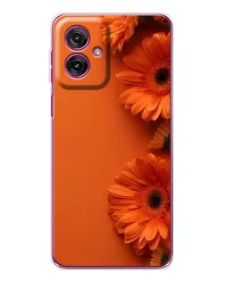 Чехол для Motorola Moto G55 с картинкой «Оранжевые герберы»