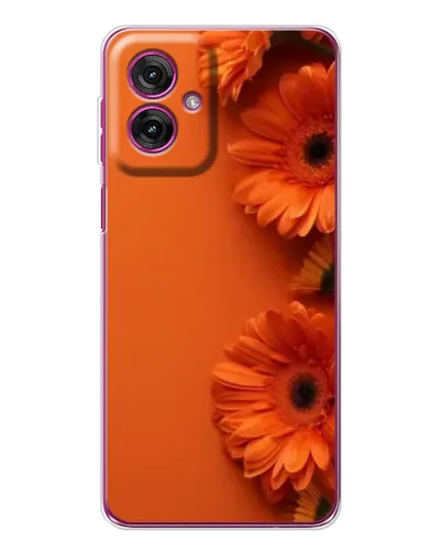 Чехол для Motorola Moto G55 с картинкой «Оранжевые герберы»