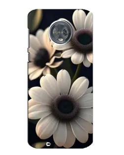 Чехол для Motorola MOTO G6 с картинкой «Белые маргаритки макро»