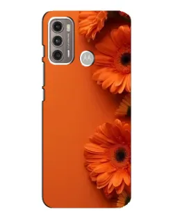 Чехол для Motorola MOTO G60 с картинкой «Оранжевые герберы» Чехол для Motorola MOTO G60 с картинкой «Оранжевые герберы»