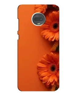 Чехол для Motorola MOTO G7 Plus с картинкой «Оранжевые герберы»