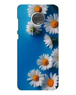Чехол для Motorola MOTO G7 с картинкой «Белоснежные маргаритки» Чехол для Motorola MOTO G7 с картинкой «Белоснежные маргаритки»