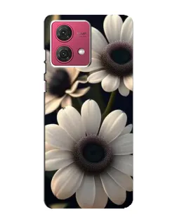 Чехол для Motorola MOTO G84 с картинкой «Белые маргаритки макро» Чехол для Motorola MOTO G84 с картинкой «Белые маргаритки макро»