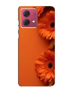 Чехол для Motorola MOTO G84 с картинкой «Оранжевые герберы» Чехол для Motorola MOTO G84 с картинкой «Оранжевые герберы»