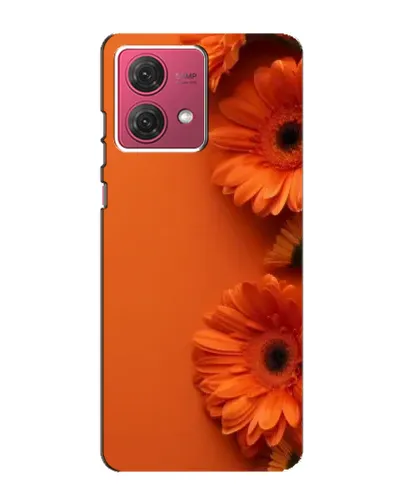 Чехол для Motorola MOTO G84 с картинкой «Оранжевые герберы»