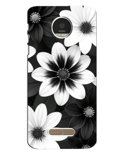 Чехол для Motorola MOTO Z с картинкой «Монохромные астры» Чехол для Motorola MOTO Z с картинкой «Монохромные астры»