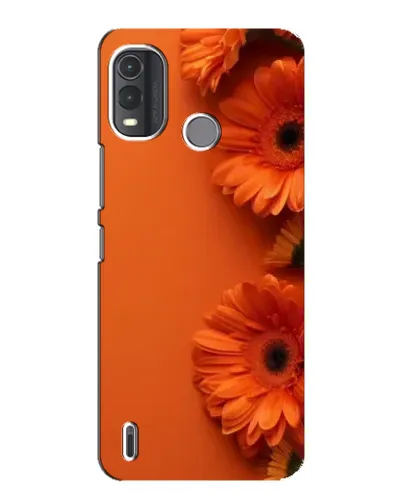 Чехол для Nokia G11 Plus с картинкой «Оранжевые герберы» Чехол для Nokia G11 Plus с картинкой «Оранжевые герберы»
