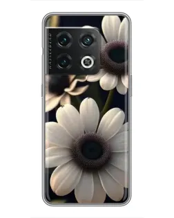 Чехол для OnePlus 10 Pro с картинкой «Белые маргаритки макро»