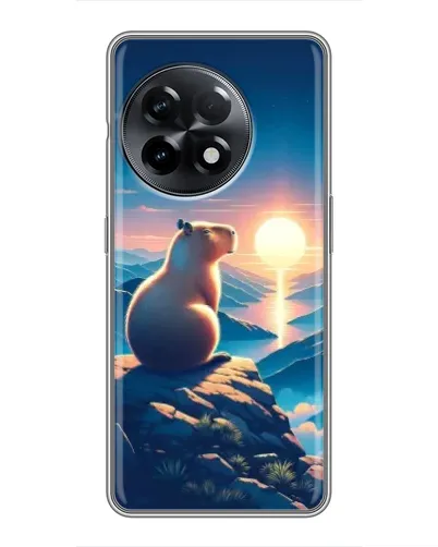 Чохол для OnePlus 11 Pro з картинкою «Захід сонця з капібарою»