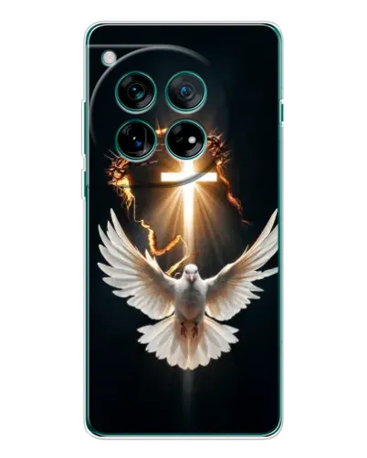 Чехол для OnePlus 11R с картинкой «Голубь и Свет» Чехол для OnePlus 11R с картинкой «Голубь и Свет»