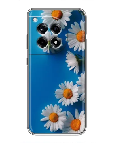 Чехол для OnePlus 12 Pro с картинкой «Белоснежные маргаритки»