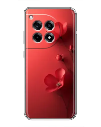 Чехол для OnePlus 12 Pro с картинкой «Маковые соцветия»