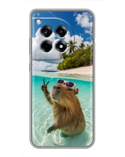 Чохол для OnePlus 12 Pro з картинкою «Капібара на морі»
