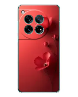 Чохол для OnePlus 12 з картинкою «Макові суцвіття»