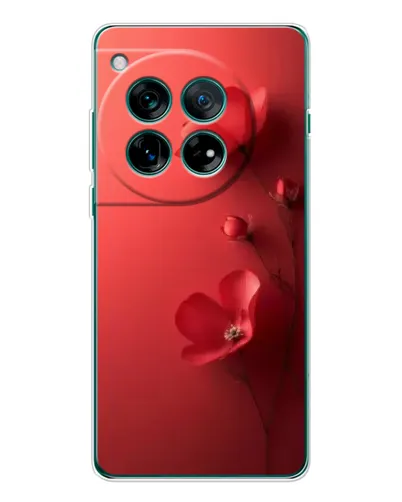 Чехол для OnePlus 12 с картинкой «Маковые соцветия» Чехол для OnePlus 12 с картинкой «Маковые соцветия»