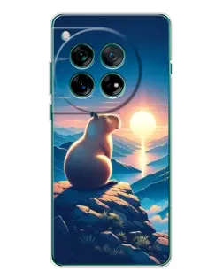 Чохол для OnePlus 12 з картинкою «Захід сонця з капібарою»