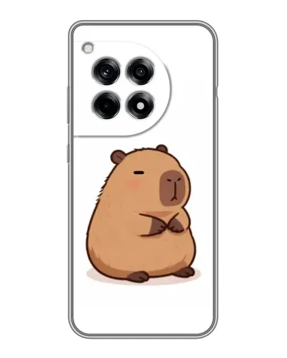 Чохол для OnePlus 12R з картинкою «Товстенька капібара»